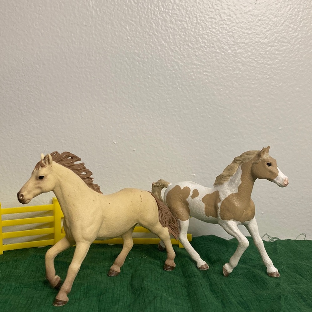 2 horses and tack